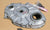 1992-1994 Corvette C4 Timing Chain Cover GM 10128289 + Hardware